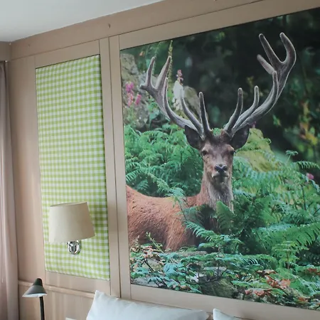 Wagners Schoenblick, C&c Und Vertrieb Gmbh 3* Fichtelberg